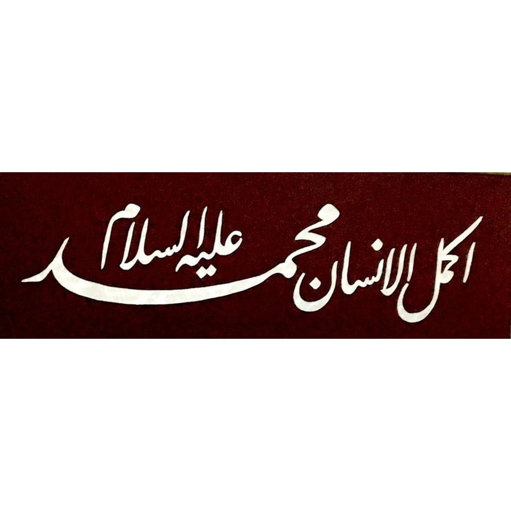 Sedef Naht Tablosu 56x28 cm