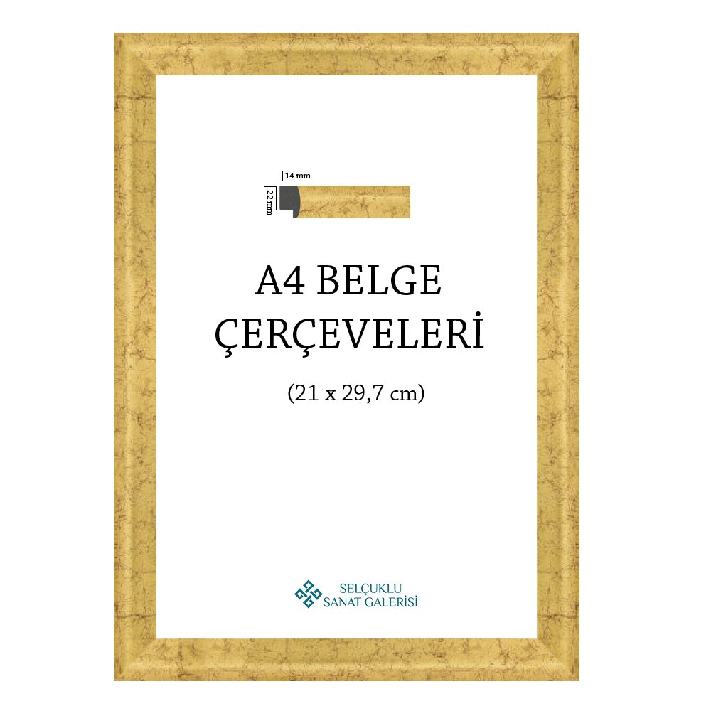A4 ÇERÇEVE 1. SINIF 22MM (A3, A4, A5 ve 25x35) YALDIZ - 25x35 cm